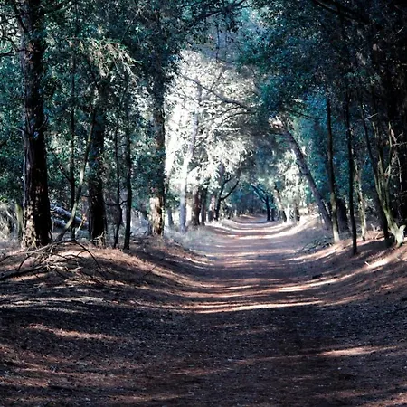 Demi Lido di Pomposa