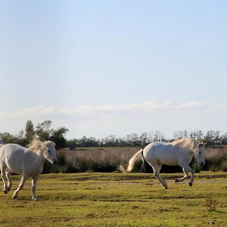 Demi Holiday home Lido di Pomposa