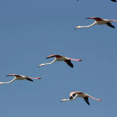 Holiday home Demi Lido di Pomposa