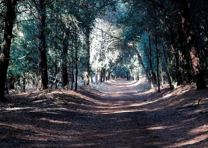 Demi Лидо-ди-Помпоза