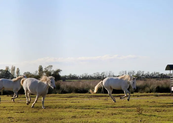 Demi Holiday home Lido di Pomposa